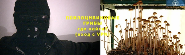 дмт Михайлов